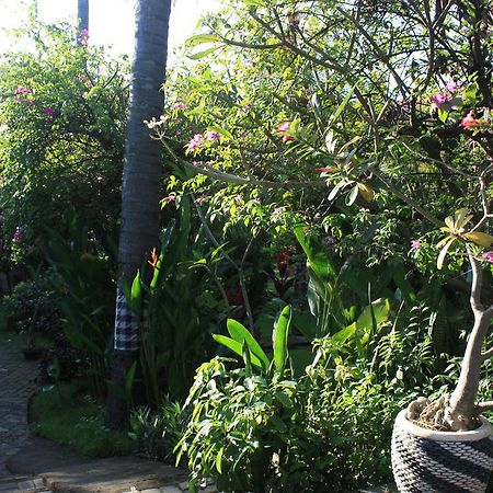 Cleopatra Beach Bungalows Hotel โลวินา ภายนอก รูปภาพ