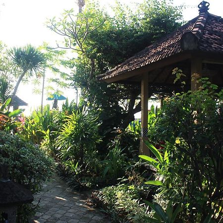 Cleopatra Beach Bungalows Hotel โลวินา ภายนอก รูปภาพ