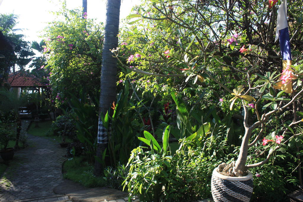 Cleopatra Beach Bungalows Hotel โลวินา ภายนอก รูปภาพ