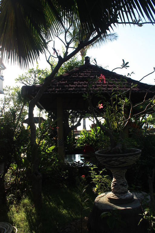 Cleopatra Beach Bungalows Hotel โลวินา ภายนอก รูปภาพ
