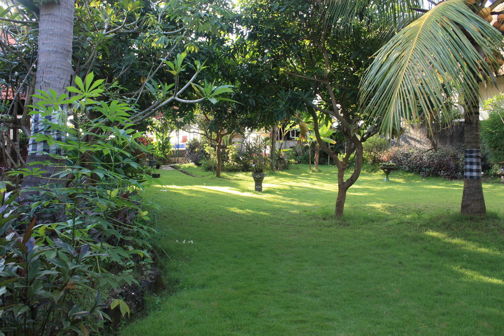 Cleopatra Beach Bungalows Hotel โลวินา ภายนอก รูปภาพ