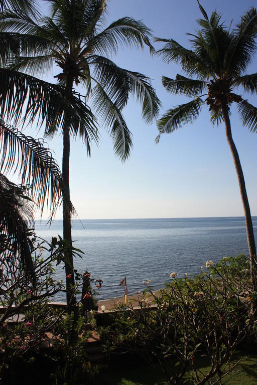 Cleopatra Beach Bungalows Hotel โลวินา ภายนอก รูปภาพ