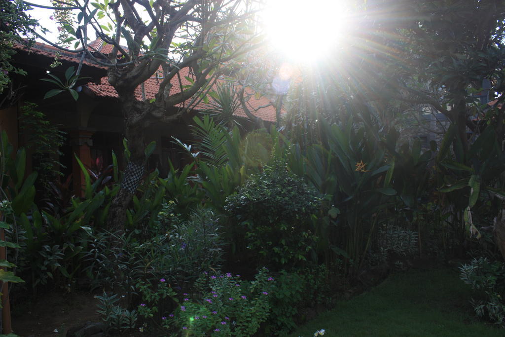 Cleopatra Beach Bungalows Hotel โลวินา ภายนอก รูปภาพ